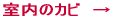 Oǂ̃Jr